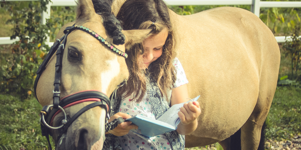 HORSE LOVERS LOOKING FOR THE BEST WAY TO START<br>WITH HORSES SAFELY AND CONFIDENTLY